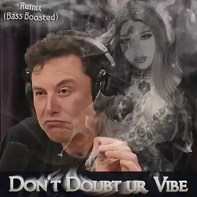Picture for song 'Don't Doubt ur Vibe (feat.Elon Musk Remix Bass Boo' by artist 'Verald'