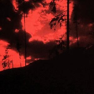 Picture for song 'Crow ($uicideboy$ x Baker x Haarper type beat)' by artist 'Vinci Bone Beats'