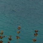 Picture for song 'Two Travellers' by artist 'yinkoieemusic'