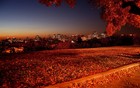 Picture for song 'SummerNights (( FREEDOWNLOAD!!)))' by artist 'YoungO Productions'
