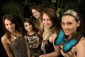 cover pic