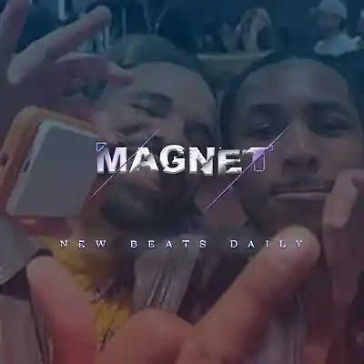 Picture for song 'Magnet' by artist 'Brandnew Beats'