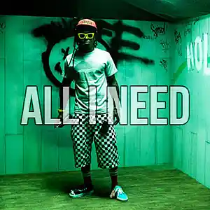 Picture for song 'All I Need | Free Download' by artist 'Frankenstein Beats'