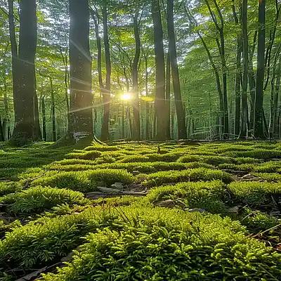 Picture for song 'RUMAGE' by artist 'Mr. Jones'