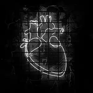 Picture for song 'ALREADY BROKEN Sad love guitar type Bea' by artist 'Zalfprod'