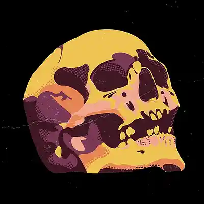 Picture for song 'DOOM BOOM' by artist 'HOLLYWOOD LEGEND PRODUCTIONS'