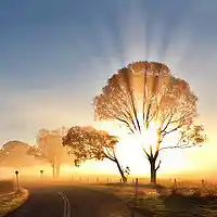 Picture for song 'Stay **Chill Beat**' by artist 'Nananana'