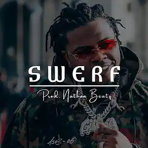 Picture for song 'Swerf [BUY 1 GET 1 FREE]' by artist 'Nathan Beatz'