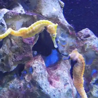 Picture for song 'Diskretion 24.00' by artist 'Restsound'