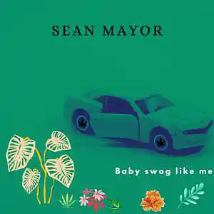 Picture for song 'Baby swag like me' by artist 'Sean Mayor'