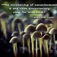 Picture for song '4dflow21' by artist 'BouncyB.'