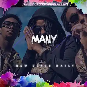 Picture for song 'Many' by artist 'Brandnew Beats'