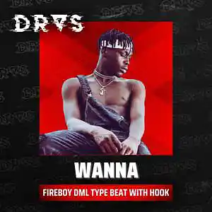 Picture for song 'Wanna I Fireboy DML x Afrobeat With Hook' by artist 'Dras On The Beat'