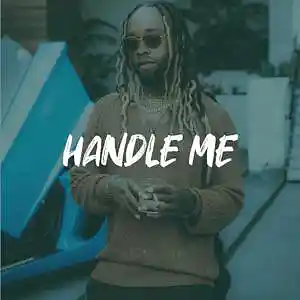 Picture for song 'Ty Dolla $ign x Lil Durk Type Beat - "HANDLE ME"' by artist 'ErieBeats'
