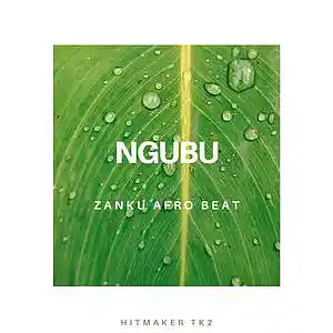 Picture for song 'Ngubu (zanku)' by artist 'Hitmaker Tk2'