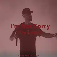 Picture for song 'Bryson Tiller Type Beat - Im Not Sorry (Prod Skev)' by artist 'Skev Beats'