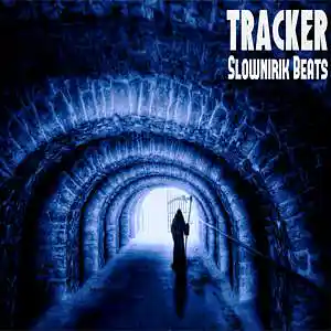 Picture for song 'Tracker' by artist 'Slownirik'