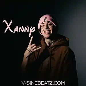 Picture for song 'Xanny (Buy 1 Get 1-3 FREE)' by artist 'V-Sine Beatz'