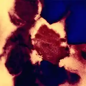 Song picture