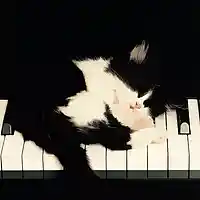 Picture for song 'Lullabye (R&B Type Beat) *FREE DOWNLOAD' by artist 'JayTurnTheLightsDown'