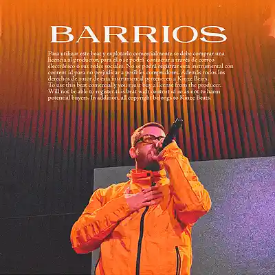 Picture for song 'Barrios (Delaossa type beat)' by artist 'Kinze Beats'