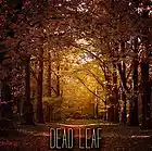 Picture for song 'Dead Leaf' by artist 'maxicosi'