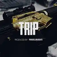 Picture for song 'Trip' by artist 'Parabellum Beats'