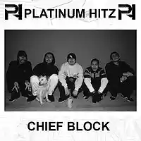 Picture for song '*NEW* Chief Block (SOLD)' by artist 'Platinum Hitz'