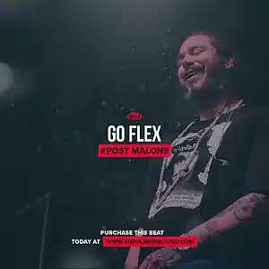 Picture for song 'Go Flex (BUY 1 GET 1 FREE)' by artist 'THEOLLWIN'