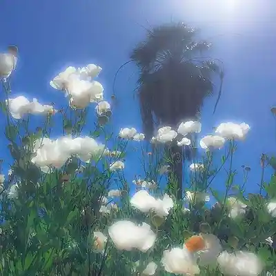 Picture for song '[FREE FOR PROFIT] ATMOSPHERE HOUSE BEAT - Dream C' by artist 'WHAT?BOYBEATS'