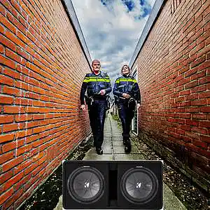 Picture for song 'Bassin' The Alley' by artist 'BASSOTRONICS'
