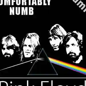 Picture for song 'Comfortably numb' by artist 'Cecil Vittar'