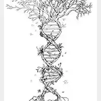 Picture for song '21CB - D&CB' by artist 'Duck And Cover Bunker'