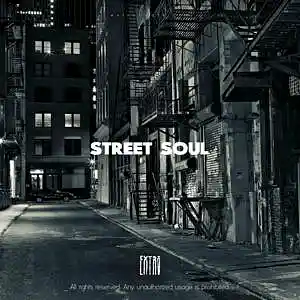 Picture for song 'Street Soul East Coast 174 BPM' by artist 'Extro'