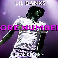 Picture for song 'More Numbers Prod By @LilBanksReal' by artist 'Lil Banks Productions'