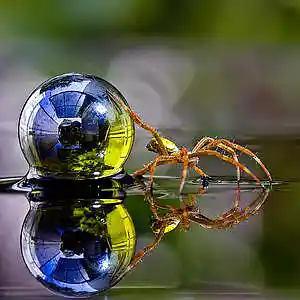 Picture for song 'To Walk On Water' by artist 'NCsFinest97'