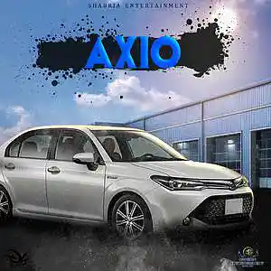 Picture for song 'axio riddim' by artist 'Shabria entertainment record label'