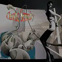 Picture for song 'Chaotic Serenity' by artist 'Bob Forbes'
