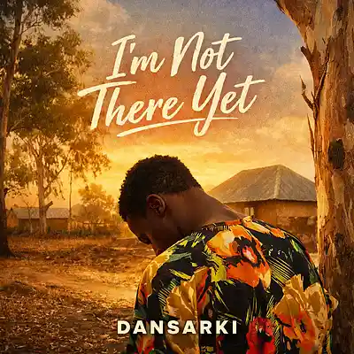 Picture for song 'I&rsquo;m Not There Yet' by artist 'DANSARKI'