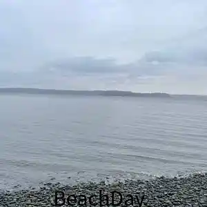 Picture for song 'Beach day' by artist 'jacob fridley'