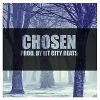 Picture for song 'Tory Lanez X Drake X Young Thug Type Beat Chosen' by artist 'Lit City Beats'
