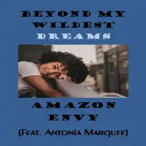 Picture for song 'Beyond My Wildest Dreams (feat. Antonia Marquee)' by artist 'Ropatt'