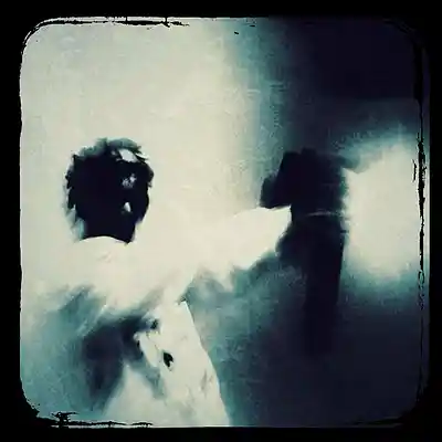 Picture for song 'Nuit &Eacute;lectrique' by artist 'Volteer 23'