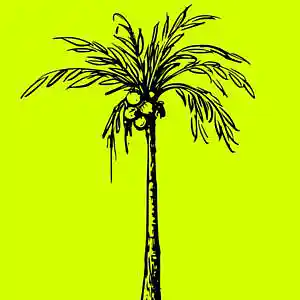 Picture for song 'Paradise' by artist 'WyFy Beats'