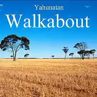 Picture for song 'Walkabout (2015 Remaster)' by artist 'Yahunatan'