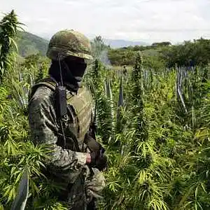 Picture for song 'ARMADO - Comando Exclusivo Type Beat' by artist 'LIL YAZU BEATS'