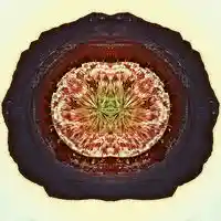 Picture for song 'Legend Of The Meaty Oaker' by artist 'Dead Era'