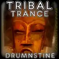 Picture for song 'DRUMNSTINE - TRIBAL TRANCE' by artist 'Drumnjon'