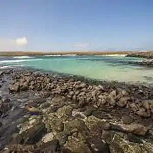 Picture for song 'Galapagos' by artist 'Ocean Colors'