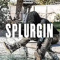 Picture for song '*SOLD* Splurgin (Prod. By @SpeakerBangerz)' by artist 'Speaker Bangerz'